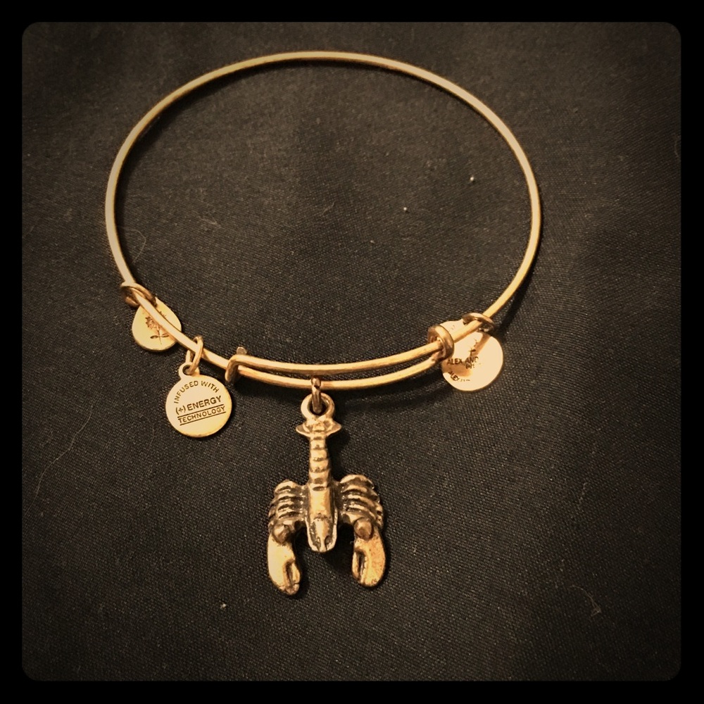 Alex and Ani Lobster Bangle